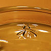 (c)2007 AEC ** ALL rights reserved