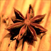 (c)2008 AEC **all rights reserved**