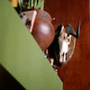 (c)2009 AEC *all rights reserved*