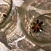 (c)2010 AEC *All Rights Reserved*