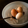 (c)2010 AEC *All Rights Reserved*