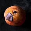 (c)2010 AEC *All Rights Reserved*